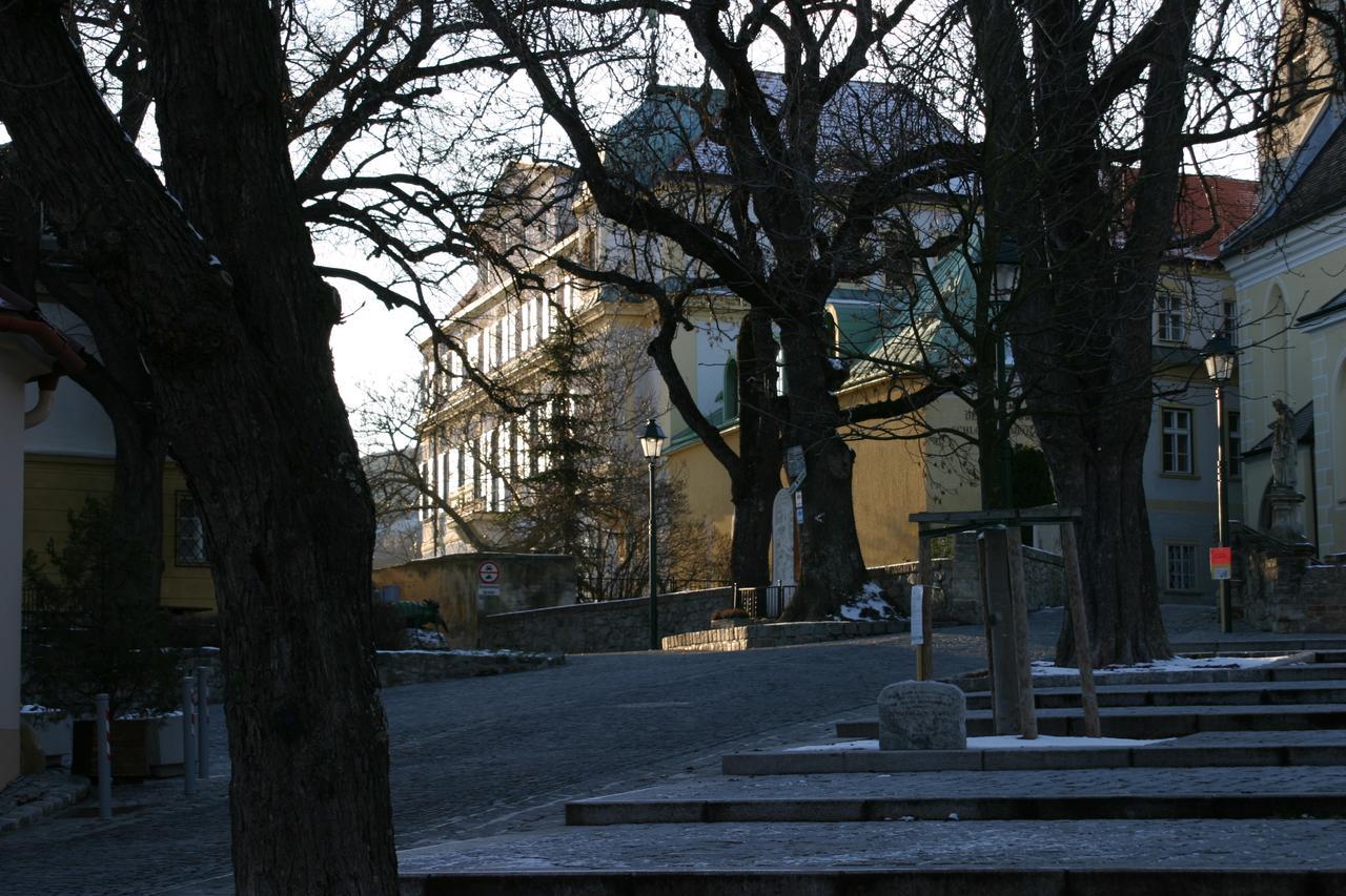 Schloss Gumpoldskirchen Exteriér fotografie
